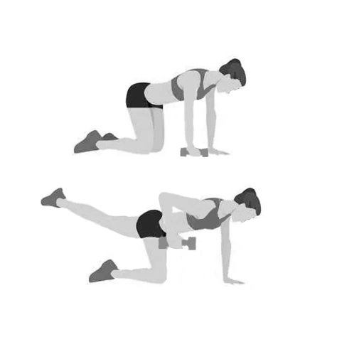 Posterior oblique sling exercises new arrivals